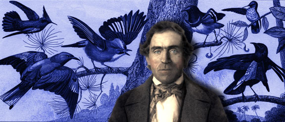 A Conversation with Birds