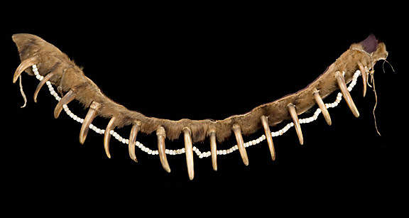 Bear Claw necklace
