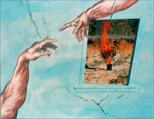 Quaking House, Burning Bushes #1