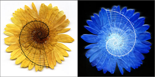 Double Spirals